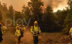 brigadistas santafesinos en cholila incendios