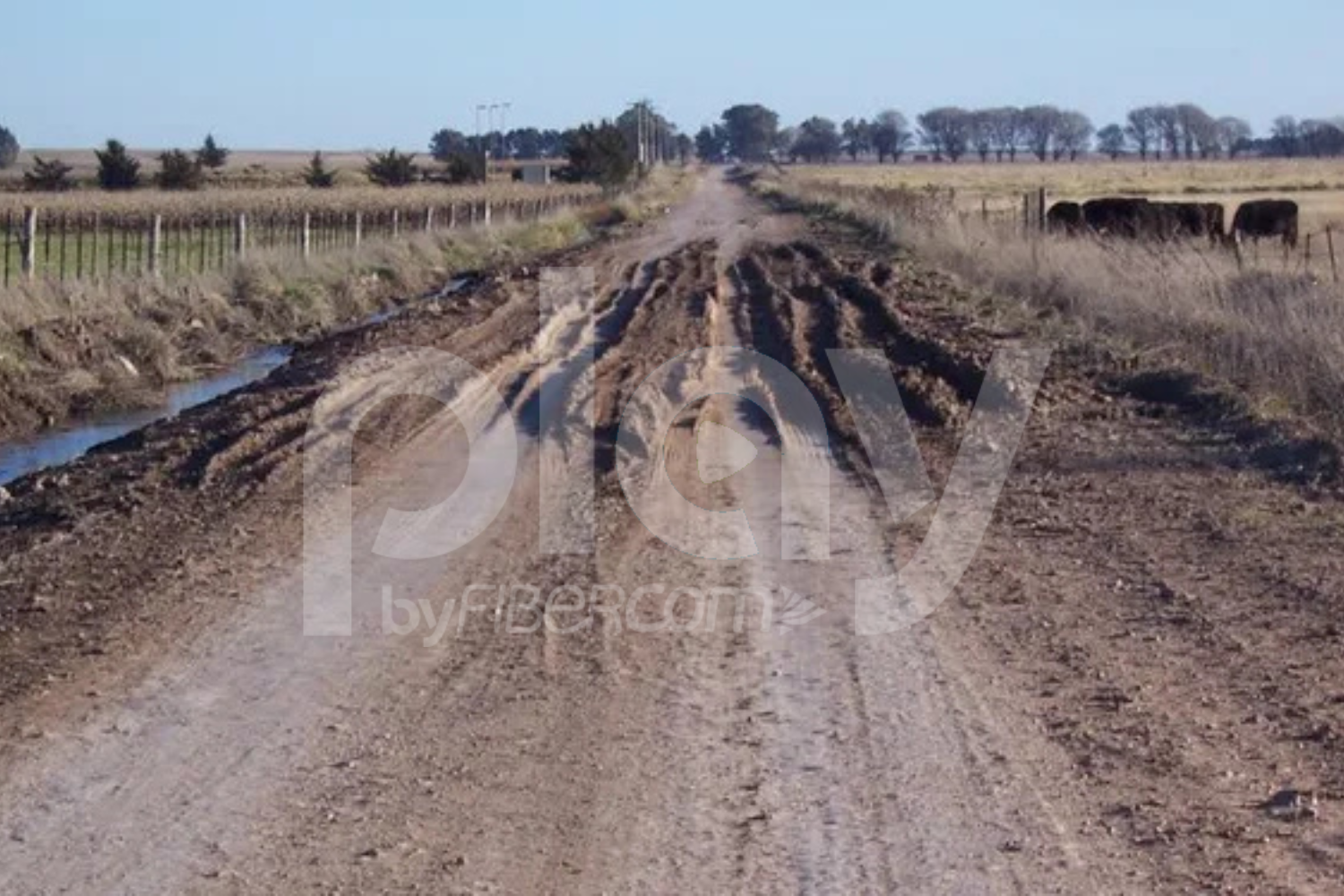 El campo volvió a reclamar obras: CRA advirtió que la falta de infraestructura resta competitividad al agro