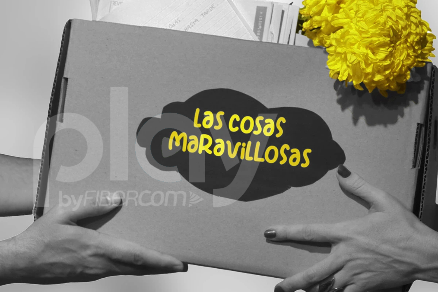 “Las cosas maravillosas” llega a Sarmiento