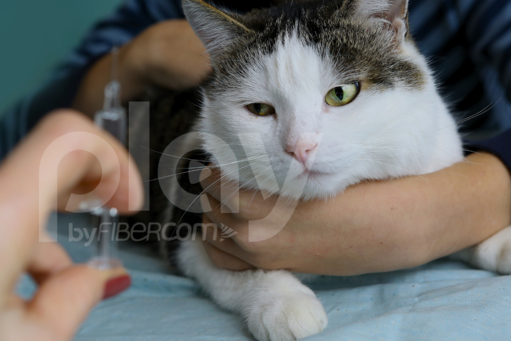 558383